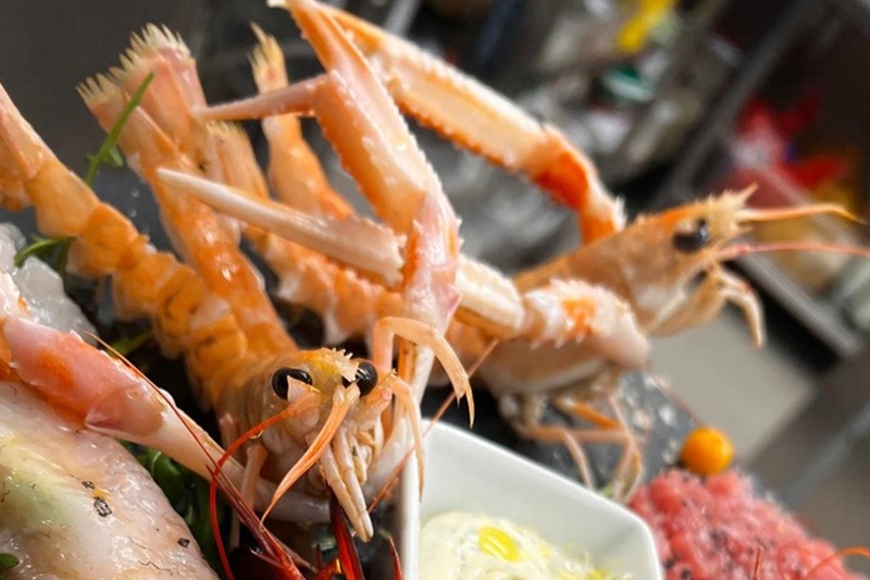 gallfood3